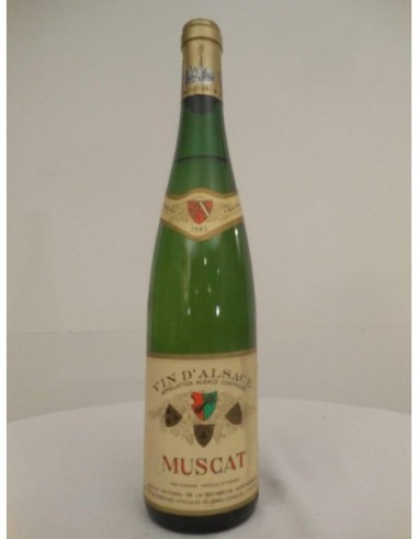 muscat INRA blanc 1983 - alsace france.